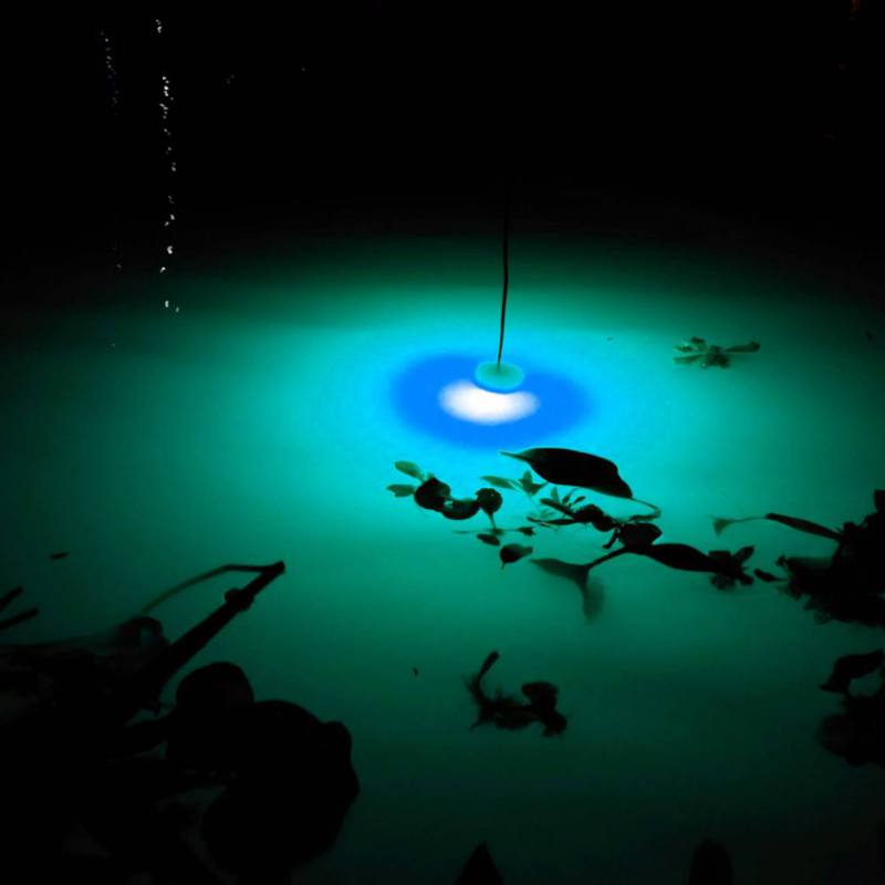 Mini Fishing Attraction Lamp G - Fishing Boat Navigation Light 리뷰 및 가격