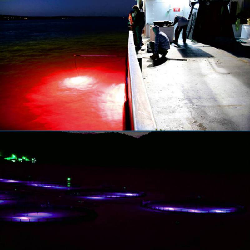 Mini Fishing Attraction Lamp G - Fishing Boat Navigation Light 리뷰 및 가격