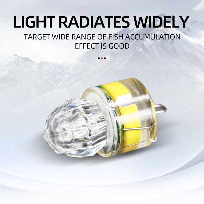 ShareShark 5pcs LED Fishing La - Fishing Boat Navigation Light 리뷰 및 가격