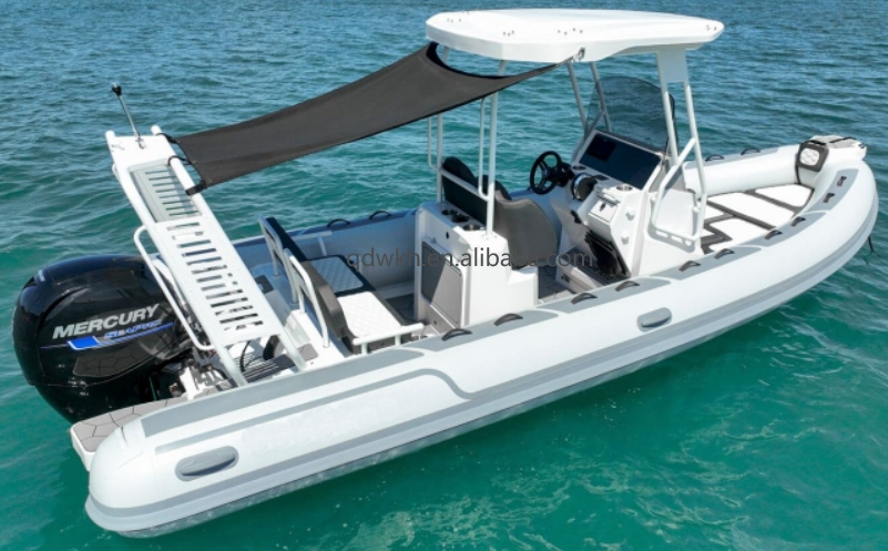 MSCE Certified Sport Style Dou - Fishing Boat Fiberglass 리뷰 및 가격